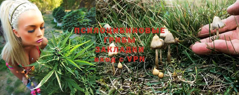 Галлюциногенные грибы Magic Shrooms  блэк спрут онион  Верхоянск  наркошоп 